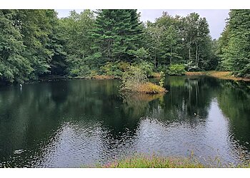 Bridgeport Hiking Trails Roosevelt Forest