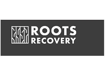 Roots Counseling Services Milwaukee Addiction Treatment Centers