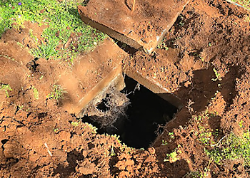 Knoxville Septic Tank Services Rose Septic Tank Services