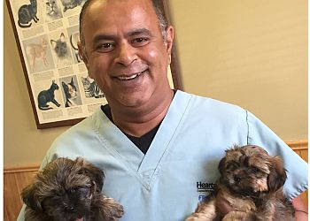 Elizabeth Veterinary Clinics Roselle Park Animal Hospital