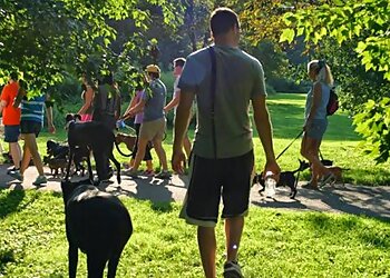 Louisville Dog Training Rosie Dane Dog Training