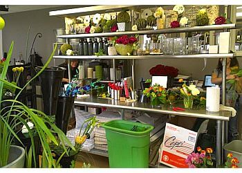 Rossi & Rovetti Flower Delivery - San Francisco, CA Florists - Business Interior Image