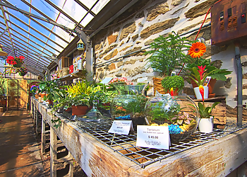 Philadelphia Florists Rothe Florists & Flower Delivery