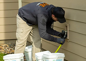 Detroit Pest Control Companies Rove Pest Control