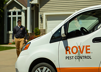 Detroit Pest Control Companies Rove Pest Control