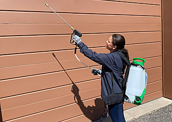 Rochester Pest Control Companies Rove Pest Control