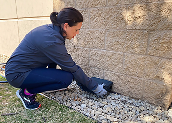 Rochester Pest Control Companies Rove Pest Control