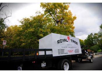 Royal Tree LLC