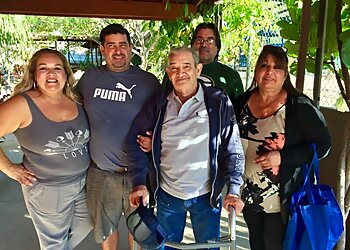 Laredo Landscaping Companies Roy's Palms Landscaping & Irrigation