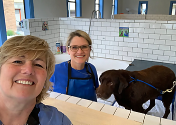 Seattle Pet Grooming Rub-A-Dub Dog