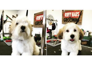 Ruff Haus Grooming - Costa Mesa, CA Pet Grooming - Service Image