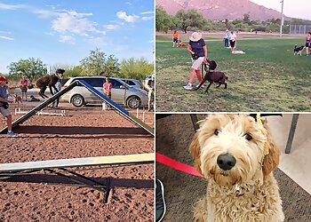 Tucson Dog Training Ruff House Dog Training
