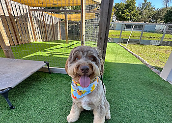 Ruff Rules - Fort Lauderdale, FL Dog Training - Service Highlights