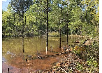Birmingham Hiking Trails Ruffner Mountain
