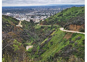 Los Angeles Hiking Trails Runyon Canyon Park