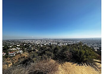 Los Angeles Hiking Trails Runyon Canyon Park