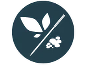 Burbank Acupuncture Ryu Acupuncture Clinic