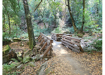 Santa Clara Hiking Trails Sanborn County Park