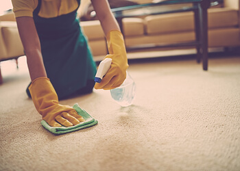 3 Best Carpet Cleaners In Downey Ca Threebestrated