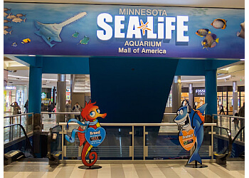 SEA LIFE at Mall of America Minneapolis Places To See