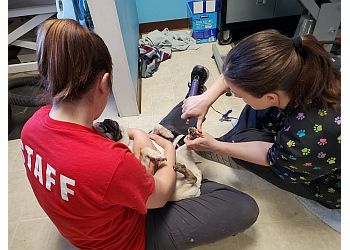 Sioux Falls Veterinary Clinics SIOUX NATION Pet Clinic