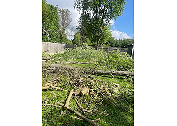 SK Tree Service - Lansing, MI Tree Services - Service Image