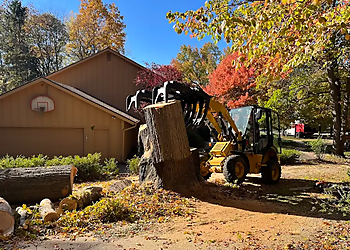 SK Tree Service - Lansing, MI Tree Services - Outdoor Work Image