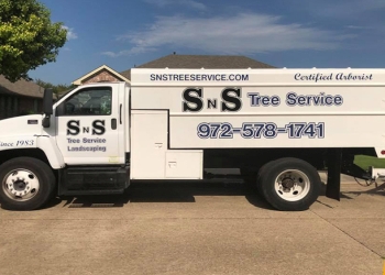 SNS Tree Services SNS Tree Services