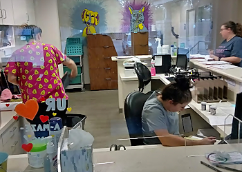 Columbus Veterinary Clinics SOS of Ohio