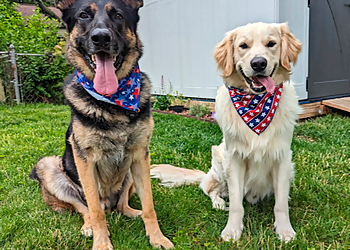 Columbus Veterinary Clinics SOS of Ohio