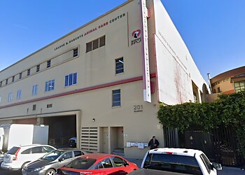 SPCA Veterinary Hospital San Francisco Veterinary Clinics image 1