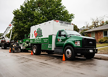 S&P Tree Service S&P Tree Service - Grand Prairie, TX Tree Services - Team Working Image