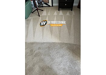 Alexandria Carpet Cleaners SV Professional Cleaning