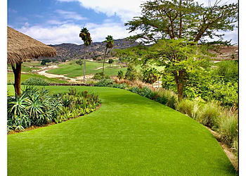 San Diego Lawn Care Services SYNLawn 