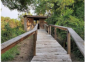Brownsville Hiking Trails Sabal Palm Sanctuary