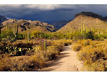 Tucson Hiking Trails Sabino Canyon Recreation Area