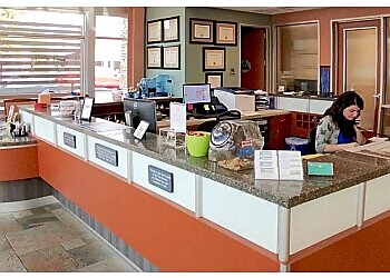 Sacramento Veterinary Clinics Sacramento Animal Hospital