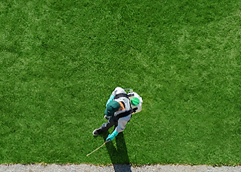 Aurora Pest Control Companies Saela Englewood