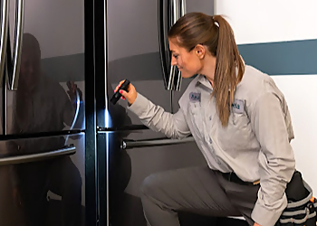 Aurora Pest Control Companies Saela Englewood