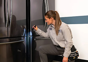 Kent Pest Control Companies Saela Pest Control