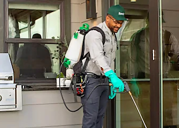 Kent Pest Control Companies Saela Pest Control