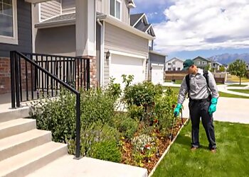 Thornton Pest Control Companies Saela Pest Control