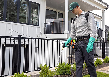 Westminster Pest Control Companies Saela Pest Control