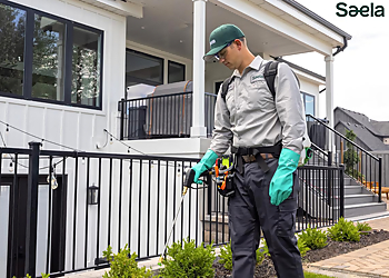 Colorado Springs Pest Control Companies Saela Pest Control Colorado Springs