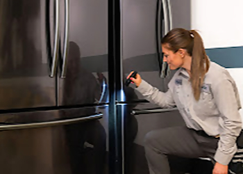 Colorado Springs Pest Control Companies Saela Pest Control Colorado Springs