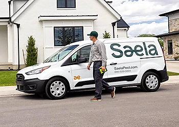 Colorado Springs Pest Control Companies Saela Pest Control Colorado Springs