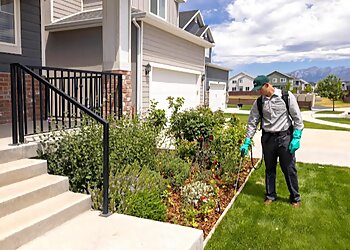 Everett Pest Control Companies Saela Pest Control Everett