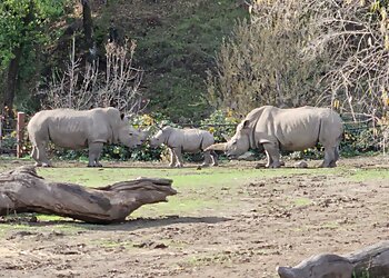 Santa Rosa Places To See Safari West