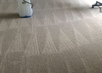 Nashville Carpet Cleaners Safe-Dry Carpet Cleaning