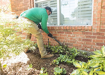 Plano Pest Control Companies Safe Pro Pest Control